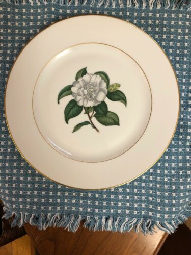 Heinrich H & C Camellia Dinner Plate 10” John Wanamaker Japonica