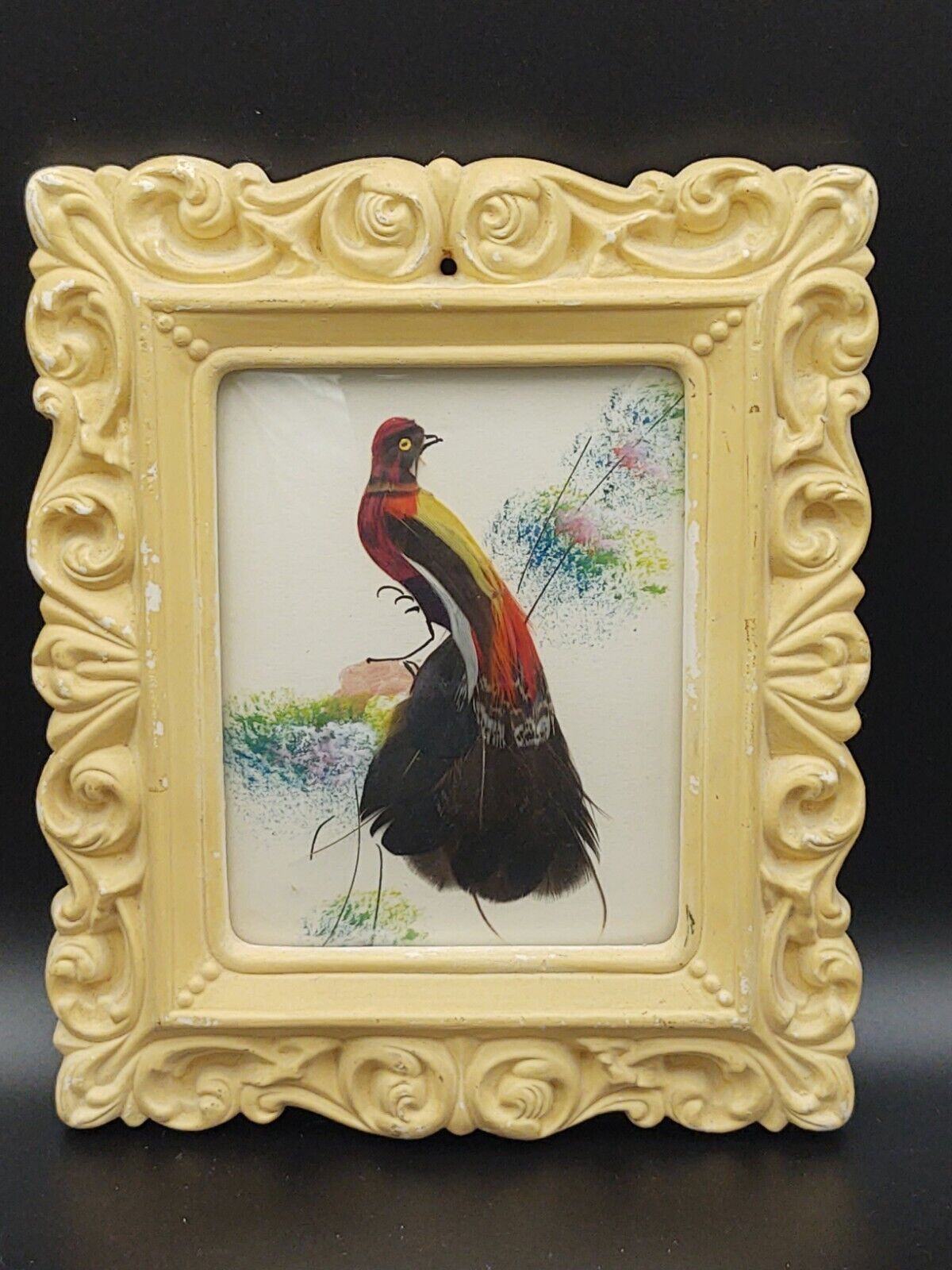 Mexican Bird Feather Watercolor Art
