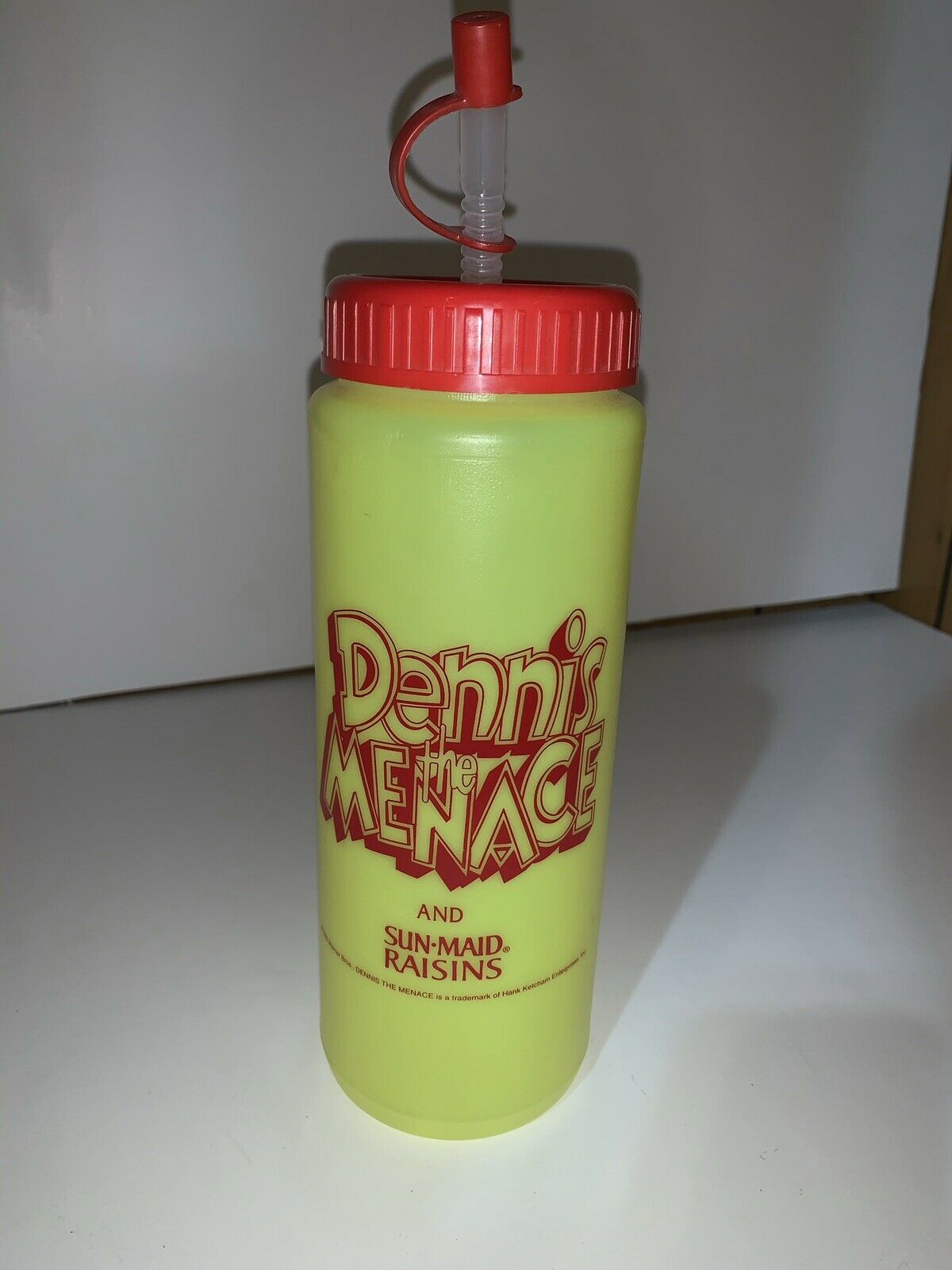 1993 Dennis The Menace Sports Drinking Bottle By Warner Bros. / Great Condition